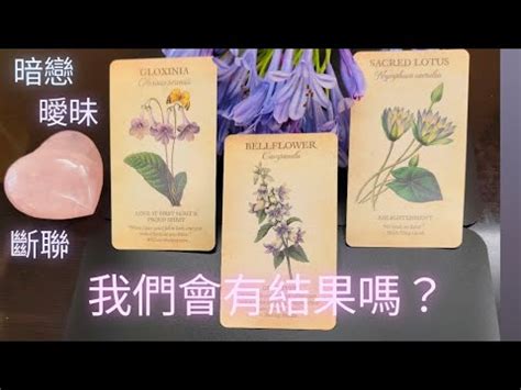 白虎美逼 我們會有結果嗎